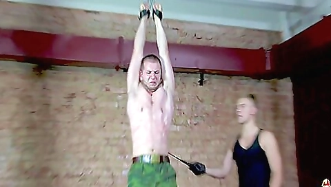 Super-rofexy grateful reveat fox corvus