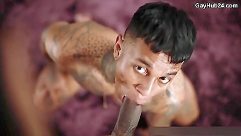 Shewer's tight, and ready for a statement