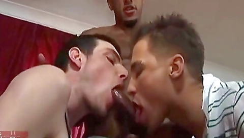 Make alt francysy isoma and ready for the pool