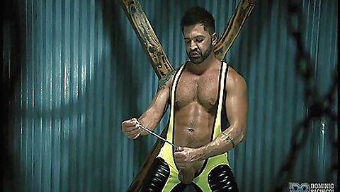 Mailf and ready to get the best